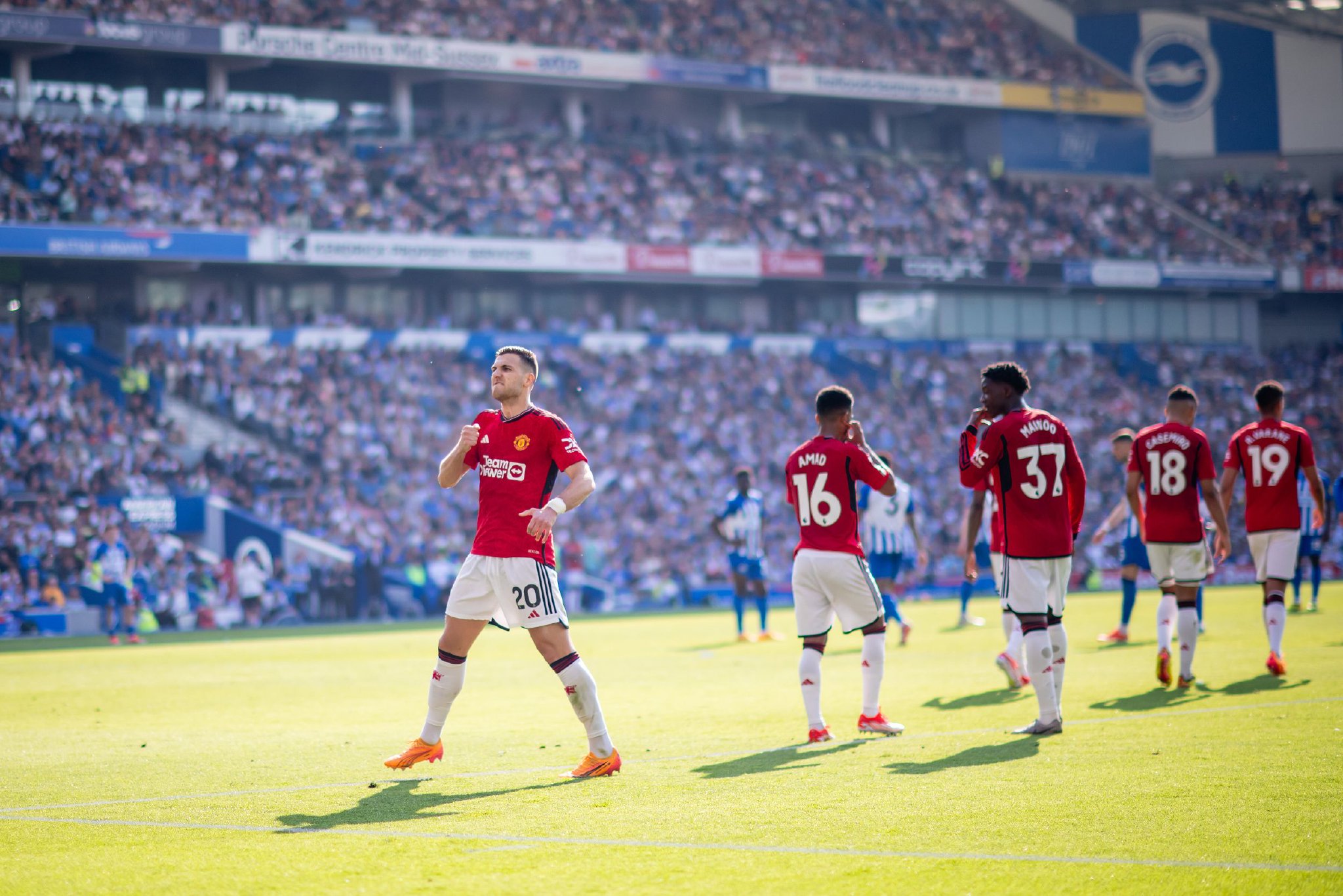 不仅能够提 不仅能够提