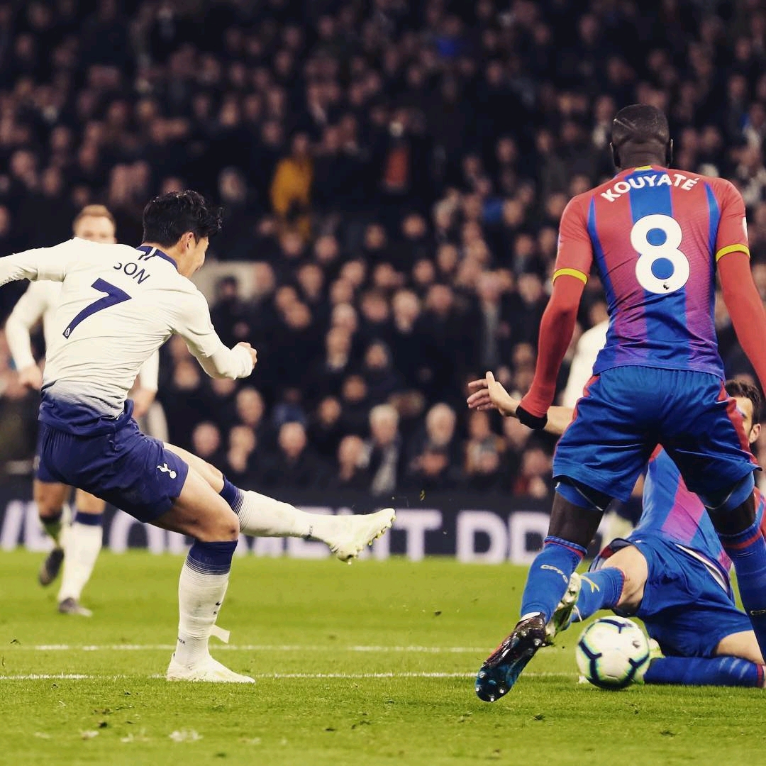 赛的阅读能 赛的阅读能